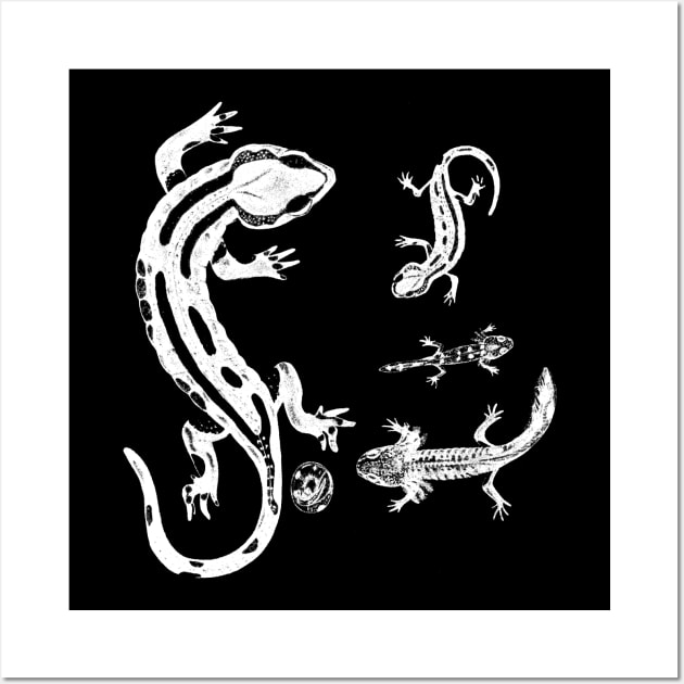 Salamander - white version Wall Art by metaphysical